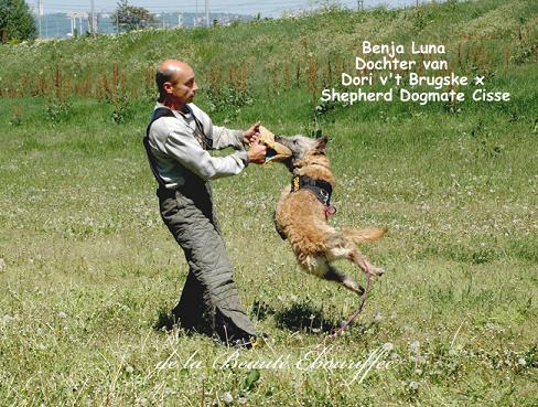 Luna.jpg