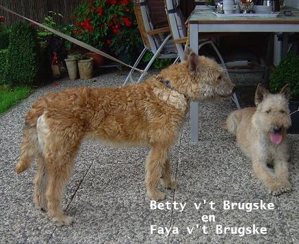 Bety+%26+Faya.jpg