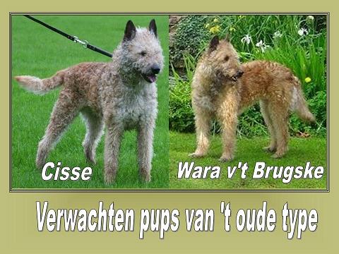Kopie (2) van Prese…